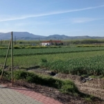 FINCA EN ROMILLA