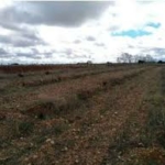 FINCA EN LACHAR